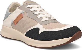 Taos Direction Sneaker in Grey/Cloud Multi at Nordstrom, Size 9.5