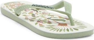 Havaianas Farm Sweet Forest Flip Flop in Smoke Green at Nordstrom, Size 11