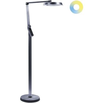 Beliani LED Floor Lamp CARINA with Dimmer Metal Dark Grey