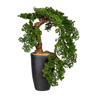 Gasper Kunstpflanze Bonsai L&auml;rche im Topf H: 90 cm