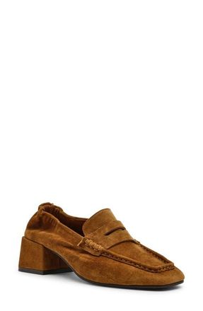 Steve Madden Emorry Penny Loafer in Chestnut Suede at Nordstrom, Size 11