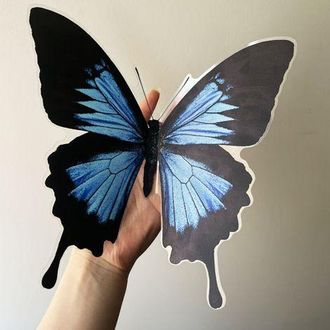 OEM Pegatinas Decorativas Para Coche/moto/mariposa - Azul/negro/nevera