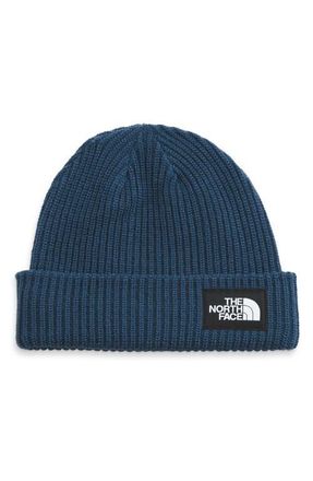 The North Face Salty Dog Beanie in Shady Blue at Nordstrom