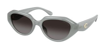 Coach HC8433U CBY77 Polarized 5905T3 Womens Sunglasses Grey Size 52