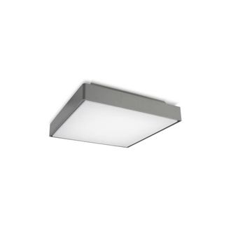 Netlighting Ksel LED Large Outdoor Ceiling Light Grey IP65 Special Offer