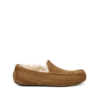 UGG Ascot Slippers