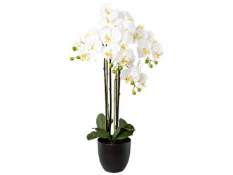 Gasper Kunstpflanze Orchidee Weiss im Topf H: 83 cm