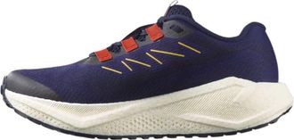 Salomon (WMNS) SALOMON Aero Blaze 3 Gravel Gore-Tex Astral Aura 479159