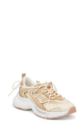 Dolce Vita Selmar Sneaker in Off White Leather at Nordstrom, Size 8.5