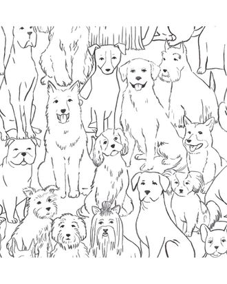 NuWallpaper Nuwallpaper Black & White Paws On Peel & Stick Wallpaper