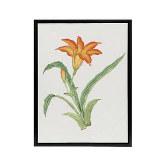 Artery8 Orange Lily Flower Framed Canvas Wall Art Print Vintage Japan Botanical in Pink | Size: W24 x H32
