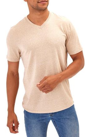 Threads 4 Thought V-Neck Slub T-Shirt in Chai at Nordstrom, Size Xx-Large