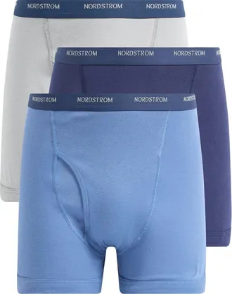 Nordstrom 3-Pack Supima Cotton Boxer Briefs in Blue Bijou Multi at Nordstrom, Size Xx-Large