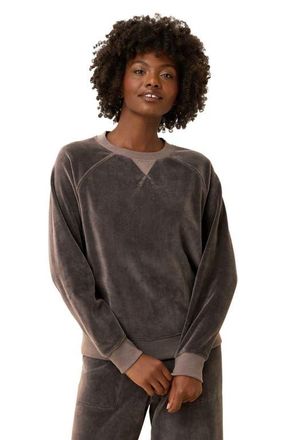 Pact Pure Velour Crew Sweatshirt in Graphite at Nordstrom, Size Medium