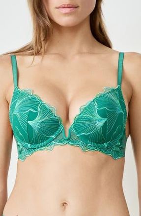 Etam Prelude Classique Embroidered Underwire Bra in Anise Absinthe at Nordstrom Rack, Size 34A