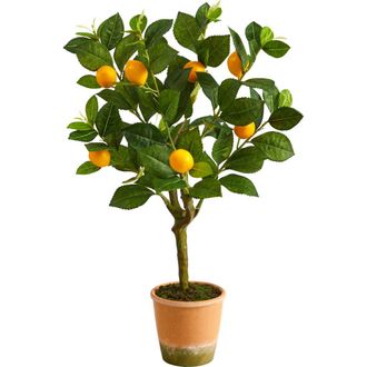 Nearly Natural 24-in Lemon Artificial Tree in Green at Nordstrom