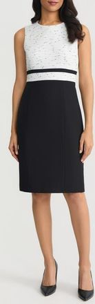 Kasper Two Tone Sheath Dress in Lily White/Black at Nordstrom, Size 14P