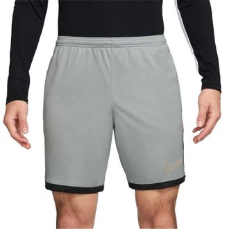 Nike Heren Academy Korte Broek (Grijs/Goud)