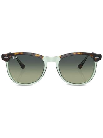 Ray-Ban Occhiali da sole tondi Eagle Eye - Marrone
