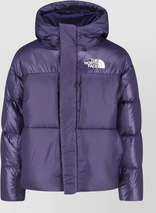 The North Face parka coat