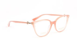 Ana Hickmann Optical Frame AH6540T P04 50