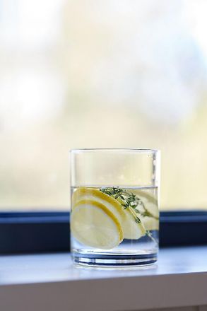 Anthropologie Morgan Double Old Fashioned Glasses, Set of 4