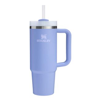 Stanley Quencher H2.0 FlowState Tumbler 30 oz in Blue