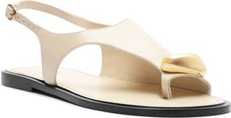Arezzo Freya Slingback Sandal in Panacota at Nordstrom, Size 8.5