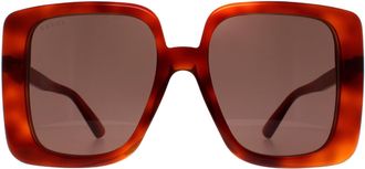 Gucci Square Havana Brown GG1314S