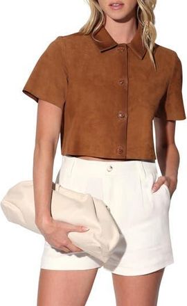 Walter Baker Karla Suede Top in Oak Suede at Nordstrom Rack, Size X-Small
