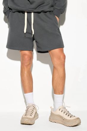 Spiritual Gangster Mens Logo Bixby Sweatshort In Ash