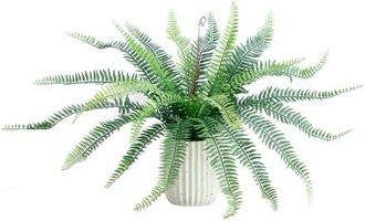 Nearly Natural 16-in Artificial Boston Fern Plant in Decorative Cement Planter in Green at Nordstrom