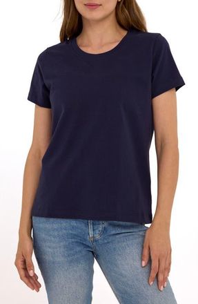 Threads 4 Thought Emmy Essential Organic Cotton T-Shirt in Stargazer at Nordstrom, Size Xx-Large