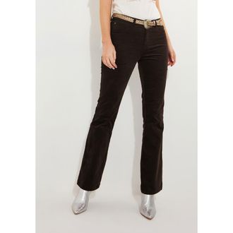 Joe Browns Moleskin Trouser in Chocolate at Nordstrom, Size 18