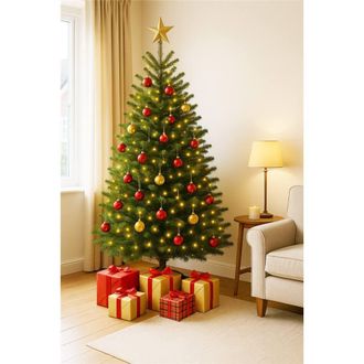 Clifton Premier Nordman Fir Xmas Tree - Low Needle Drop - 2.0 - 2.5m (6.5 - 8 ft) in Green