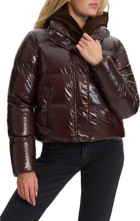 Noize Coco Crop Water Resistant Puffer Jacket in Espresso at Nordstrom Rack, Size X-Large