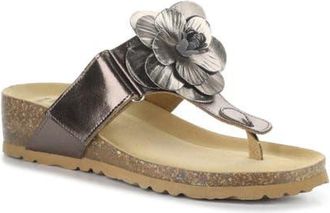 Bos. & Co. Laria Platform Wedge Flip Flop in Pewter at Nordstrom, Size 10-10.5Us