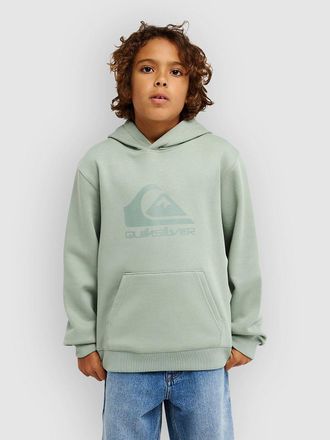 Quiksilver Comp Logo Kids Hoodie groen