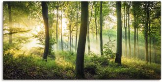 Artland Wandbild »Herbst im Wald II« Waldbilder 1 Stk. tlg. als Alubild, Outdoorbild, Leinwandbild, Poster, Wandaufkleber