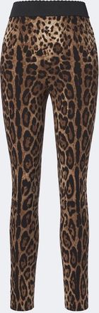 Dolce & Gabbana Leopard-print leggings