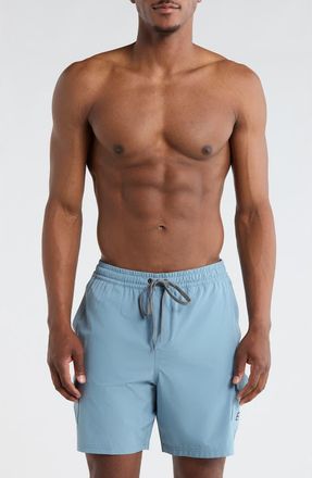 Billabong Cargo Volley Swim Shorts in Citadel at Nordstrom Rack, Size X-Large