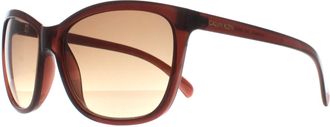 Calvin Klein Cat Eye Dames Melkbruin Bruin Verloop CK19565S