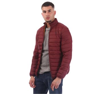 Aquascutum Heren Puffer Jas (Bordeaux)
