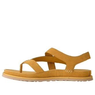 UGG (WMNS) UGG Goldengaze Toe Post Wheat Field 1175134-WTFL