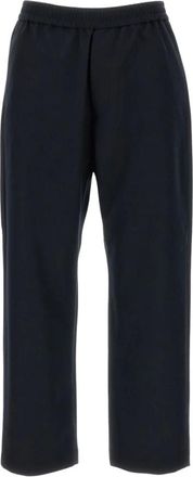 Barena Broeken, Dames, Blauw, S, Wol, Rechte broek