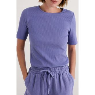 Seasalt Cornwall Gorse Lane Rib Shirt in Bilberry at Nordstrom, Size 16 Us