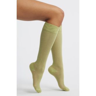 High Heel Jungle Everythings Fine Semisheer Cotton Blend Rib Knee High Socks in Green at Nordstrom