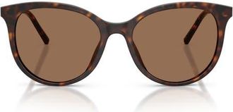 Dolce & Gabbana 55mm Phantos Sunglasses in Havana /Dark Brown at Nordstrom