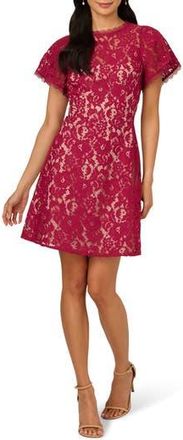 Adrianna Papell Flutter Sleeve Lace Dress in Light Wine at Nordstrom Rack, Size 16