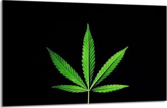 OEM Placa Protectora De Vidrio Para Estufa 80x52 Hoja